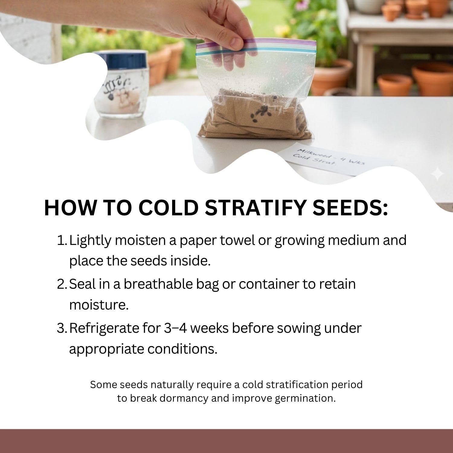 Native Milkweed Variety Pack – 5 Essential Species for Monarch Butterfly Gard…