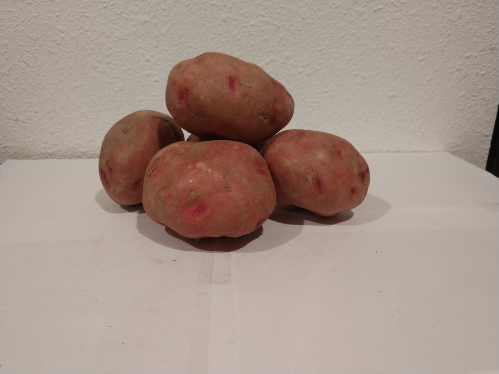 Viking – 2 lbs pounds- Certified Whole Seed Potatoes for Spring