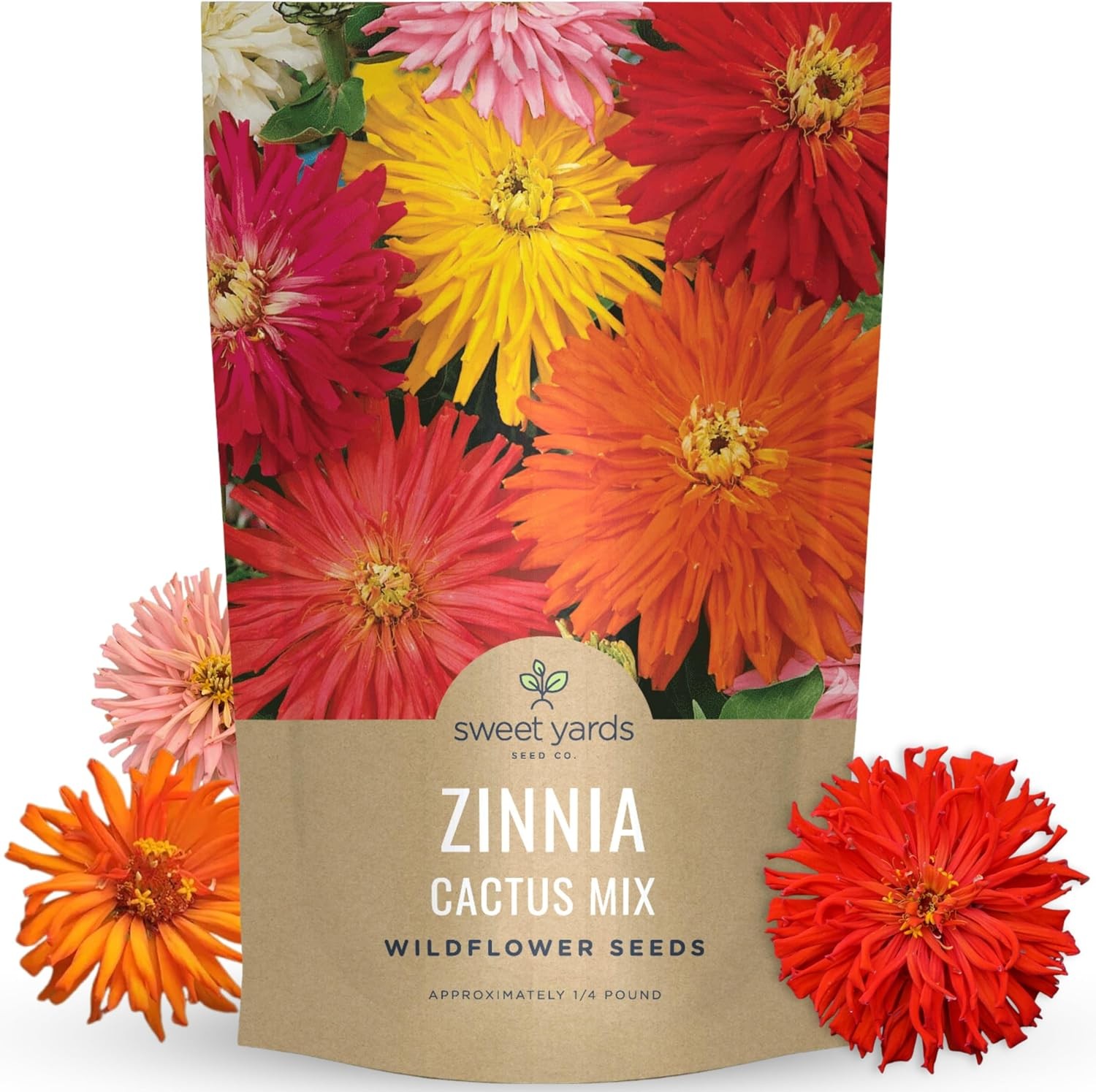 Zinnia Super Cactus Mix – Bulk 1/4 Pound Pouch – 15000 Flower Seeds for Planting