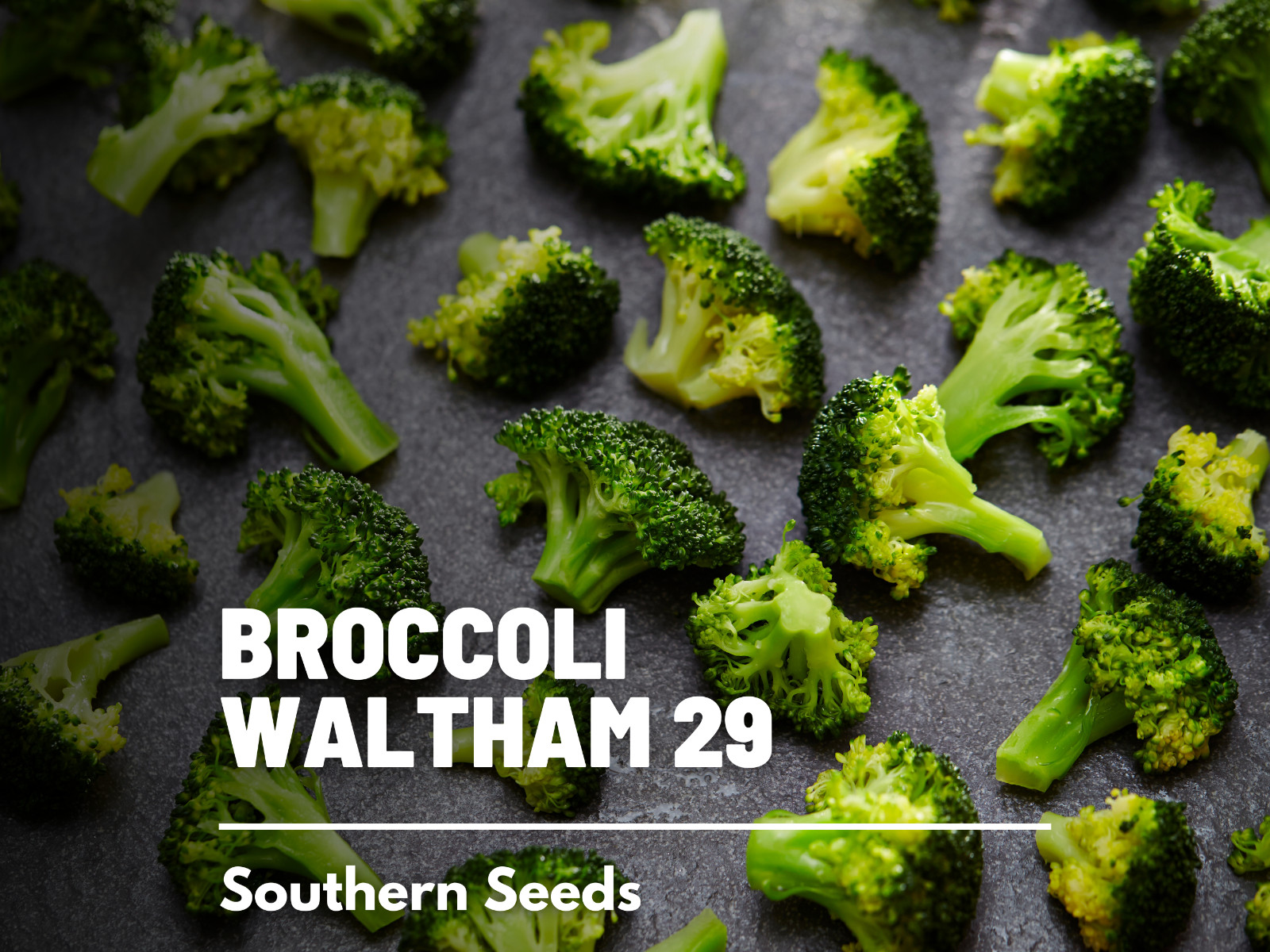 Broccoli, Waltham 29 – 100 Seeds, Heirloom Vegetable (Brassica oleracea)