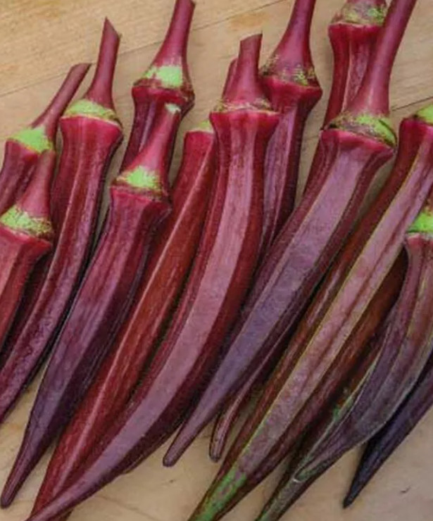 OKRA MIX BULK PACK Red Burgundy Clemson Spineless Jing Orange Perkins 150 Seeds!