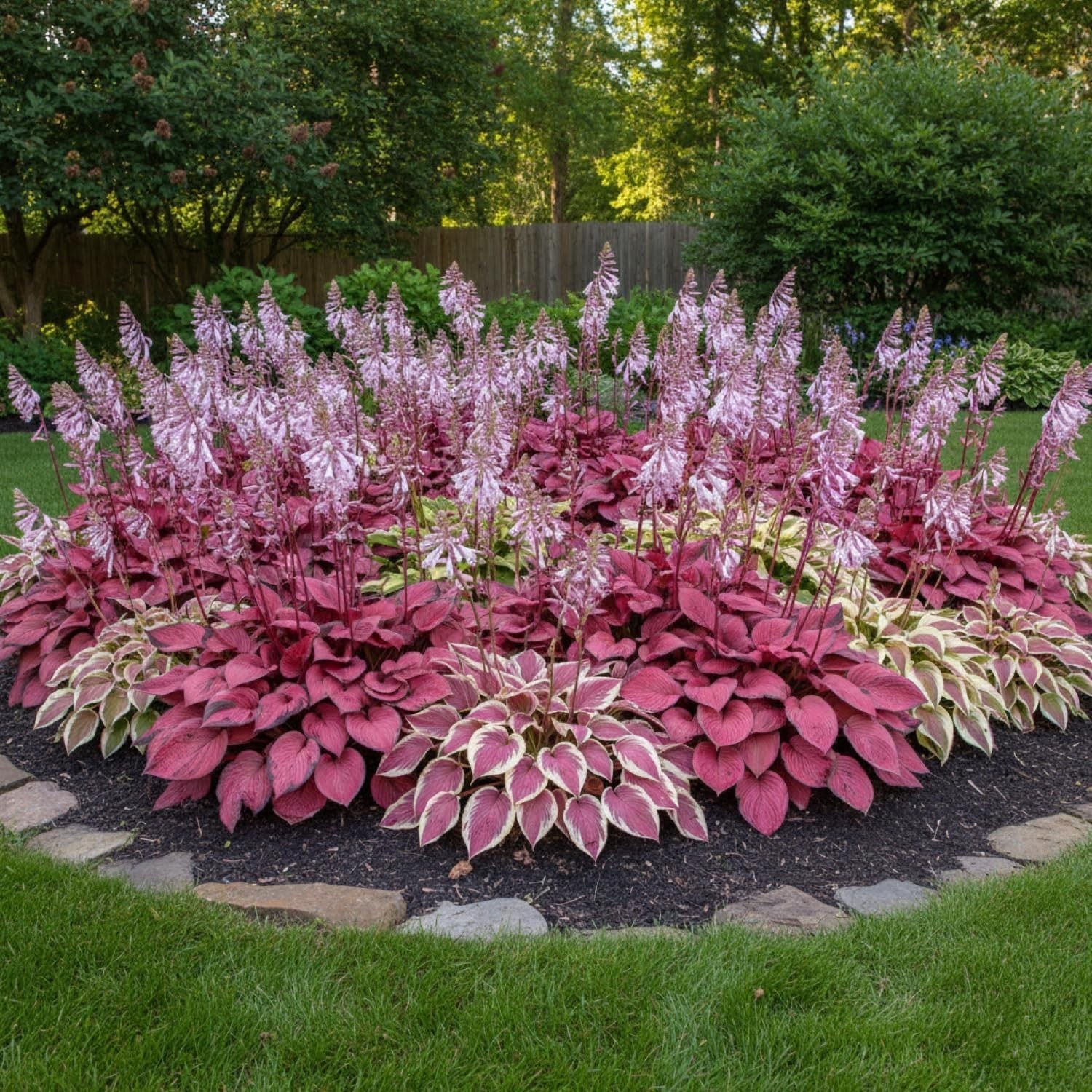 Bring Life to Your Shade Garden with 100+ Colorful Hosta Seeds – Low Maintenance