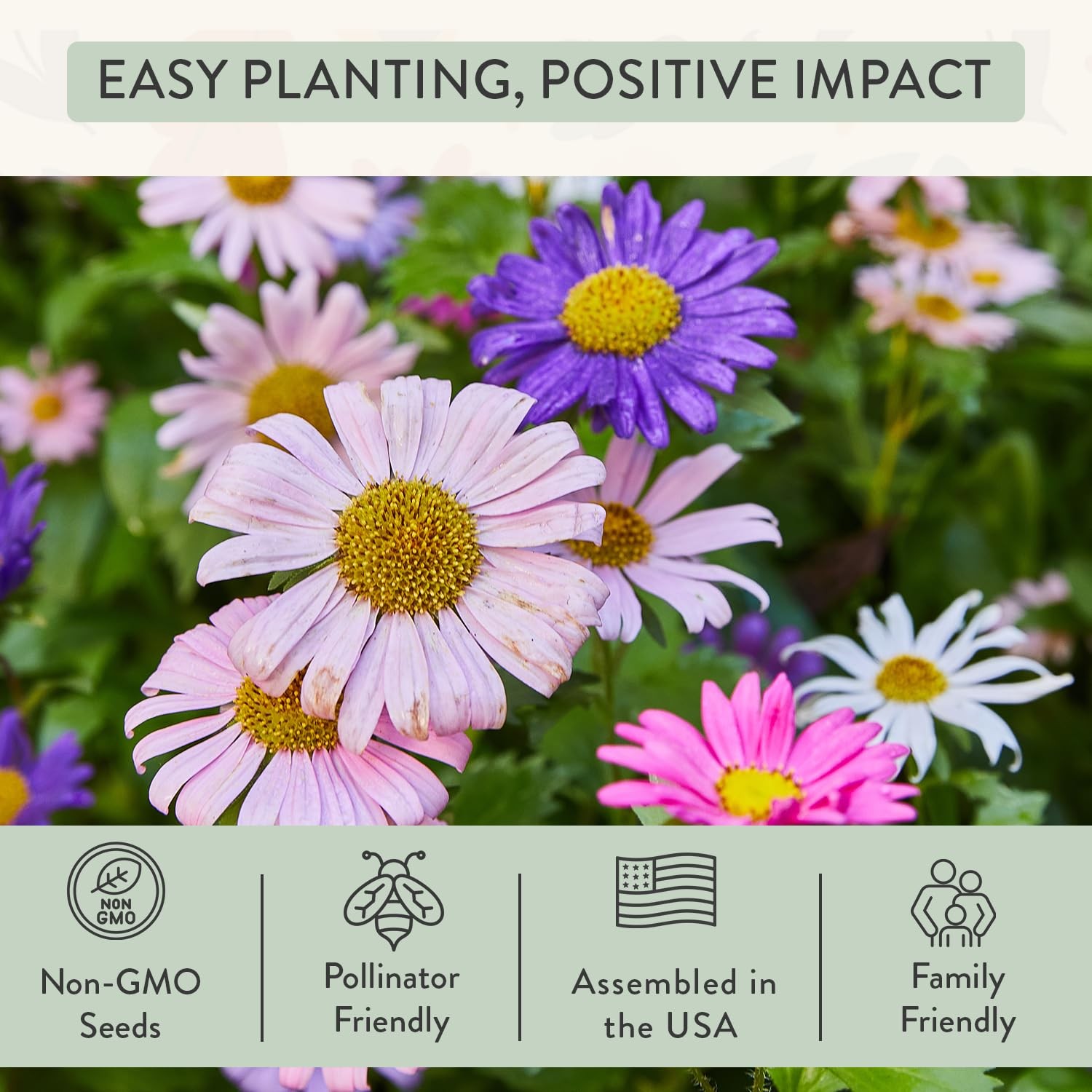 Pops – Gifts for Plant Lovers & – Organic Non-GMO Hooray Bouquet Bloomin’ for…