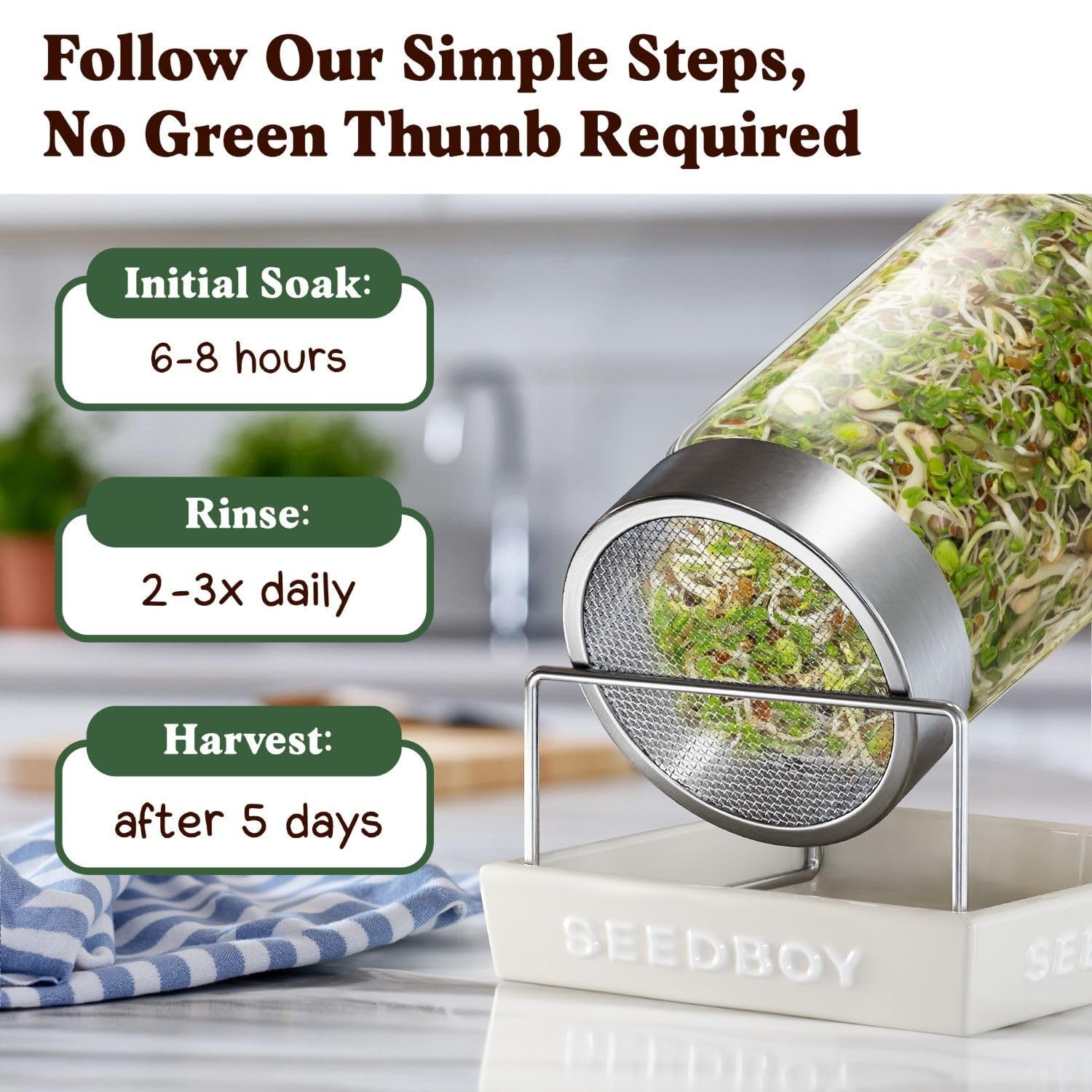 Organic Non-GMO Sprouting Seeds, Fresh Salad Blend – USA Grown Microgreens Mi…