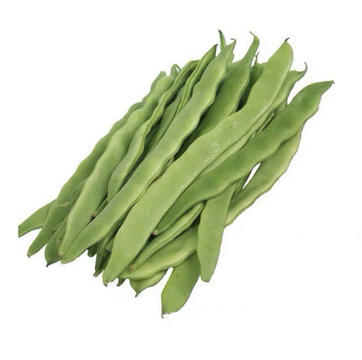 60Ct green dragon bean seeds Stringless pole Bean Heavy producer 60粒高产新绿龙长扁豆架豆种子