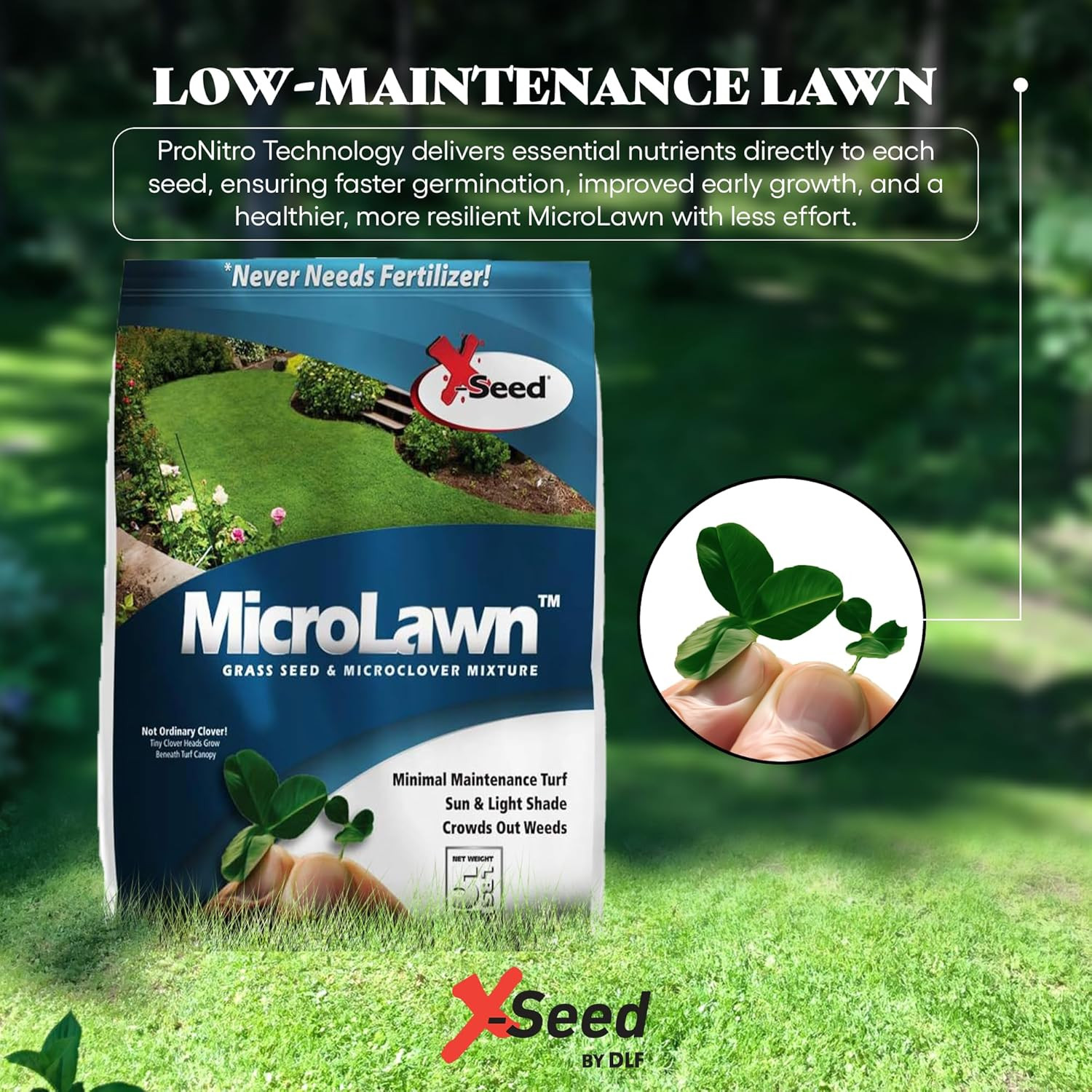 X-Seed Microlawn Grass Seed & Microclover Mix – Dense Self Feeding Lawn, Sun & S