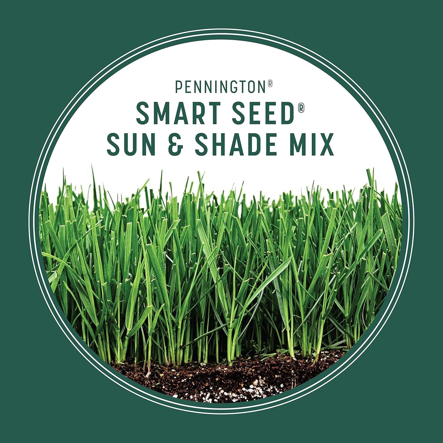 7 lb Pennington Smart Seed Sun & Shade Mix – Perfect for Any Weather Conditions