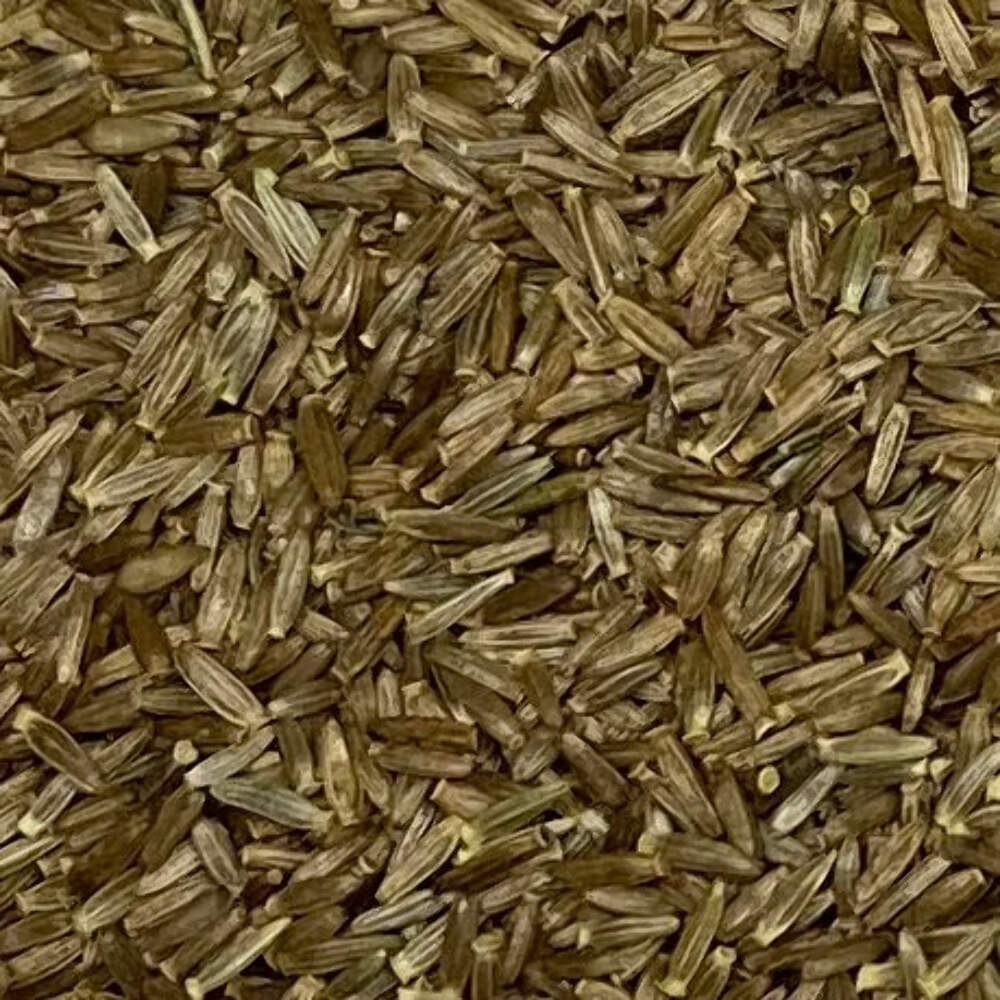 Showy Goldenrod Seeds (Solidago speciosa) ~Herb Native Pollinator Garden