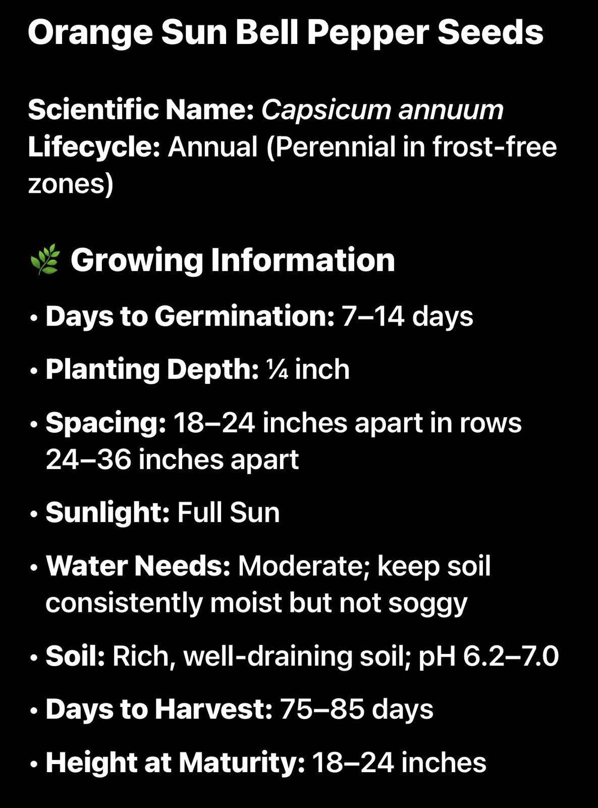 Orange Sun Bell Pepper Seeds | Heirloom Green Cal Wonder King Peppers Seed 2026