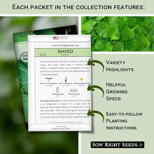 – Shiso Seed Collection for Planting – Includes Green & Purple – Non-GMO