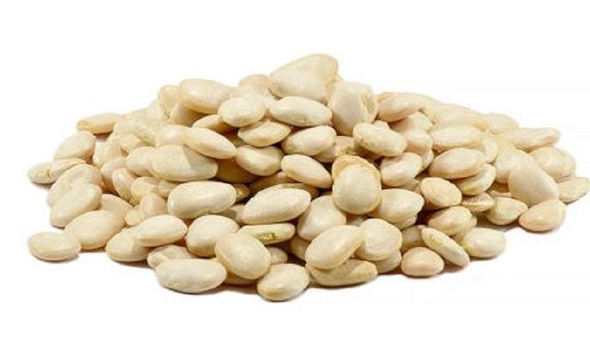 30 NON-GMO Baby Lima Beans (Butter Peas or Sieva Beans) –Free Shipping