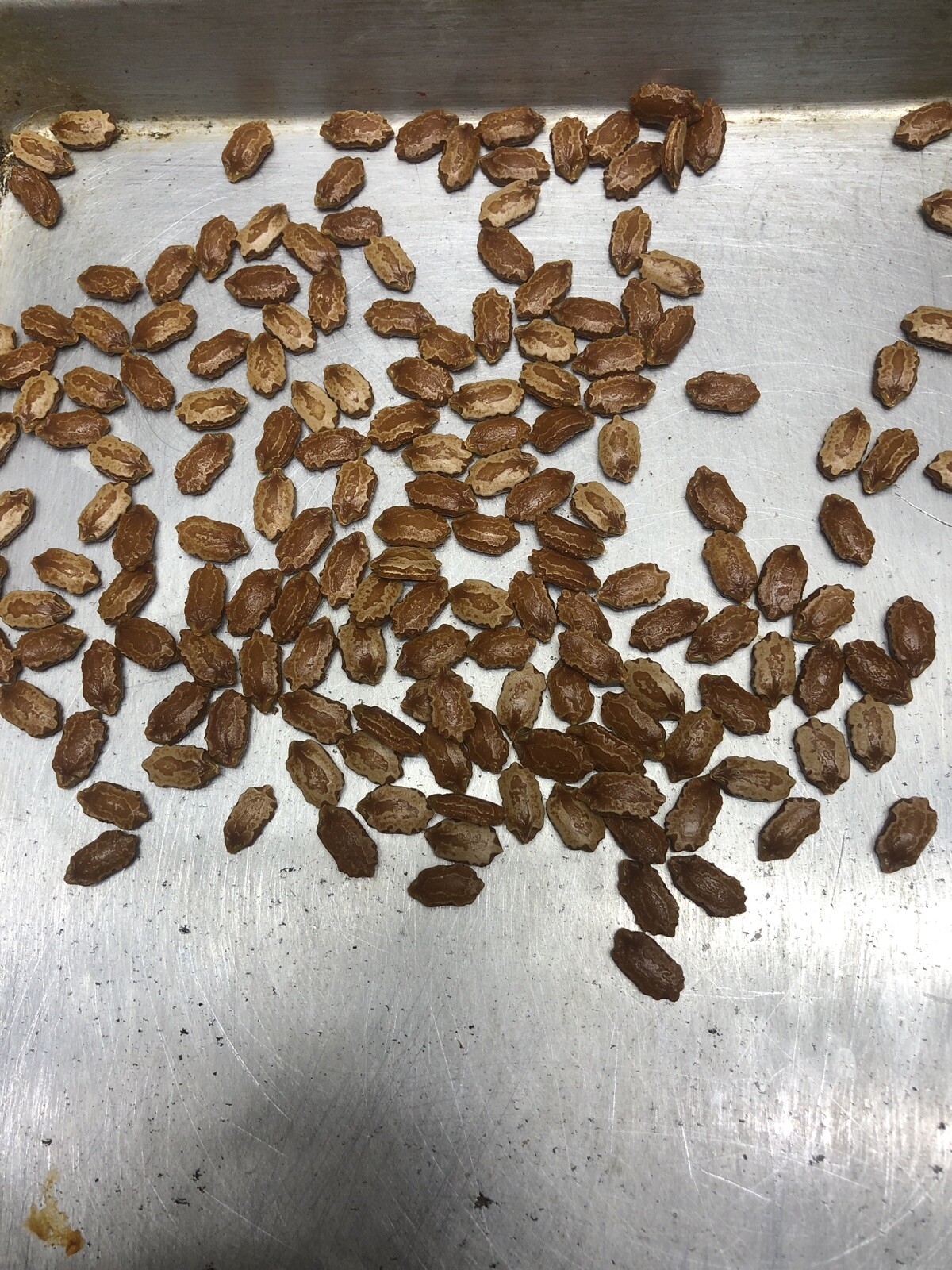 Bitter Melon, Gold Bell , Sweet Bitter Gourd (50 Seeds)