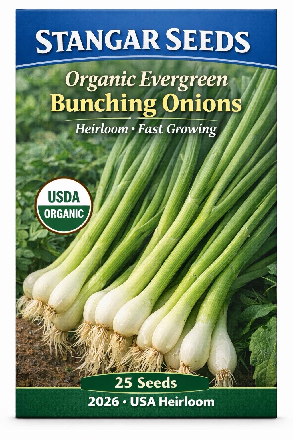 Warrior Bunching Onion Seeds, AAS, NON-GMO, Japanese Bunching Onion, FREE SHIP