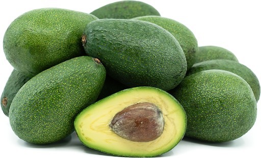 (6) Fuerte Avocado Seeds Naturally Grown