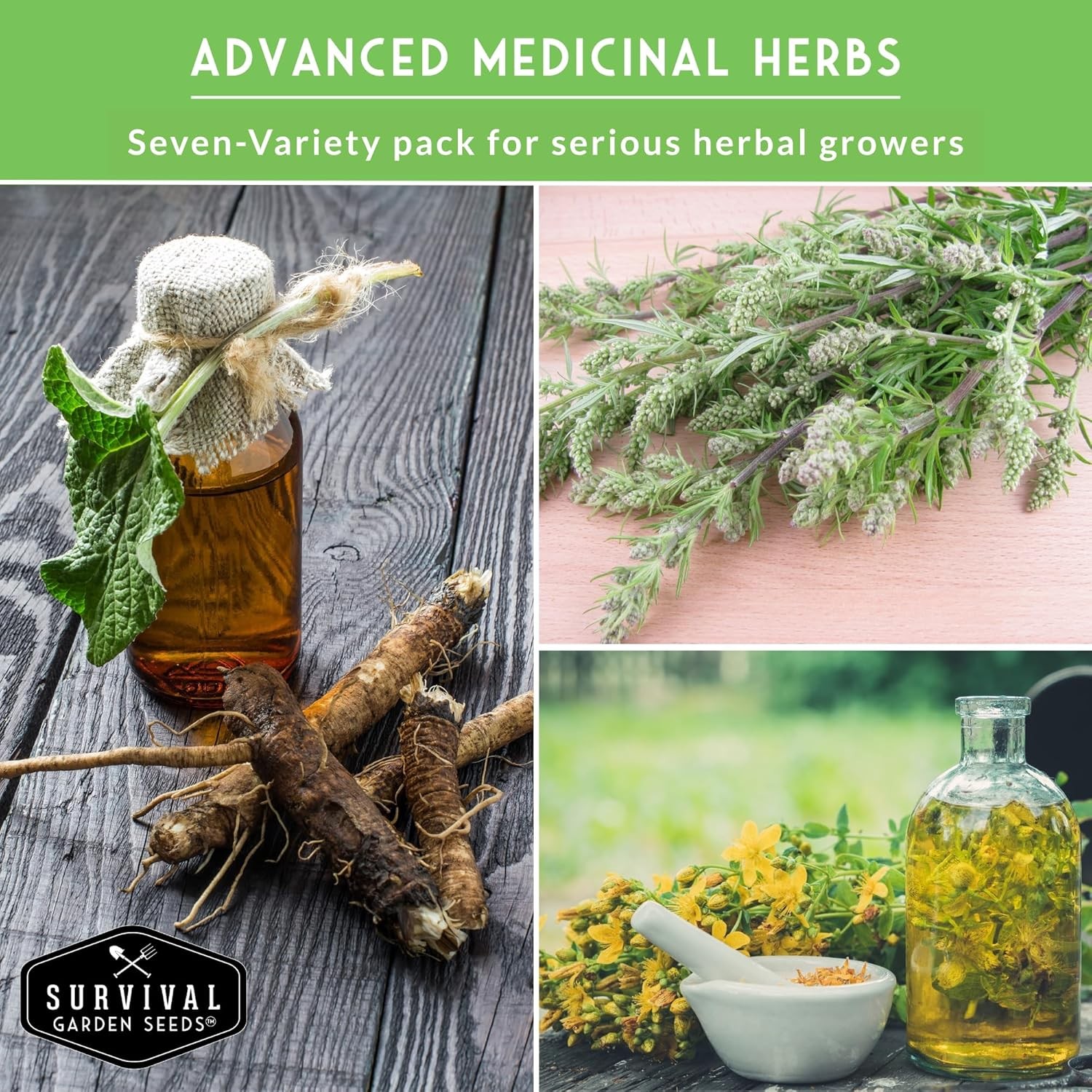 Advanced Medicinal Herb Seeds Collection – Variety Pack for Planting with Planta