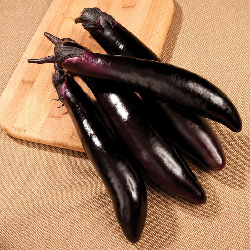 Shikou Eggplant: 20 Seeds