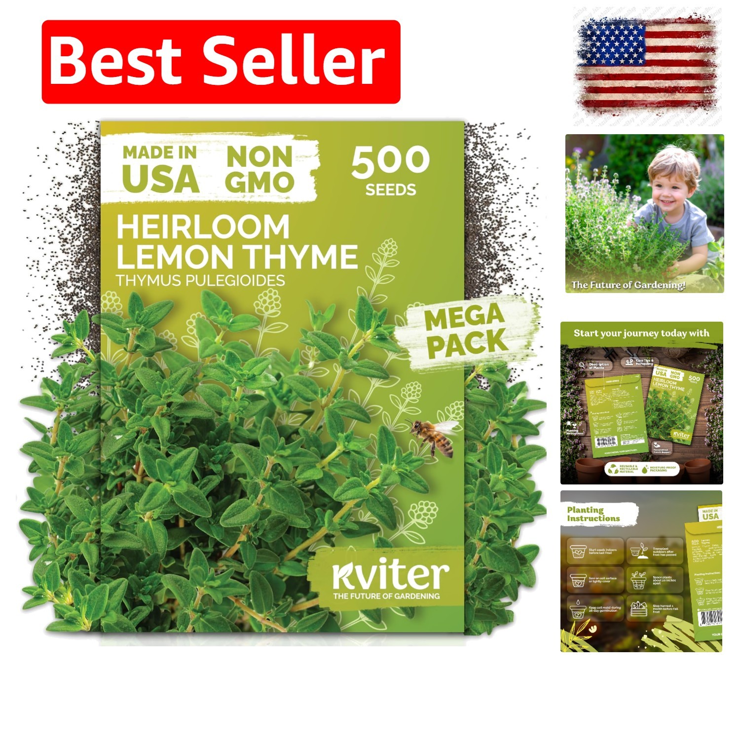 500 Lemon Thyme Seeds for Planting Thymus Pulegioides – Wild Creeping Thyme S…
