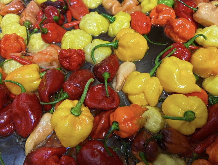 20 Hot Mix Pepper Carolina Reaper Ghost Gochu 7 Pot Scotch Bonnet +More Seeds