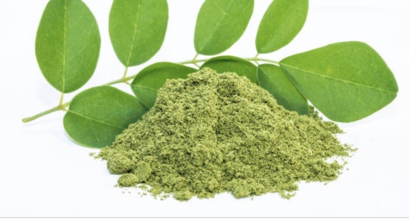 Moringa Powder organic 4oz. non gmo vegetable