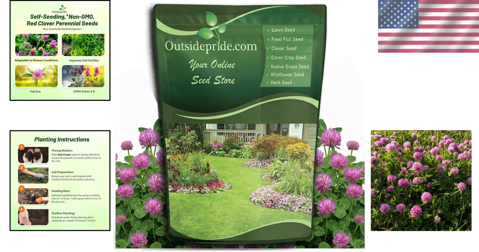 Red Clover Seeds 10 lbs – Hardy Zones 3-9, Full Sun, Clay Soil, Natural