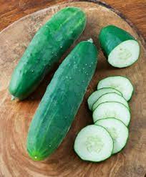 Premium Straight 8 Slicing Cucumber – Fresh Heirloom Seeds – Great in Salads