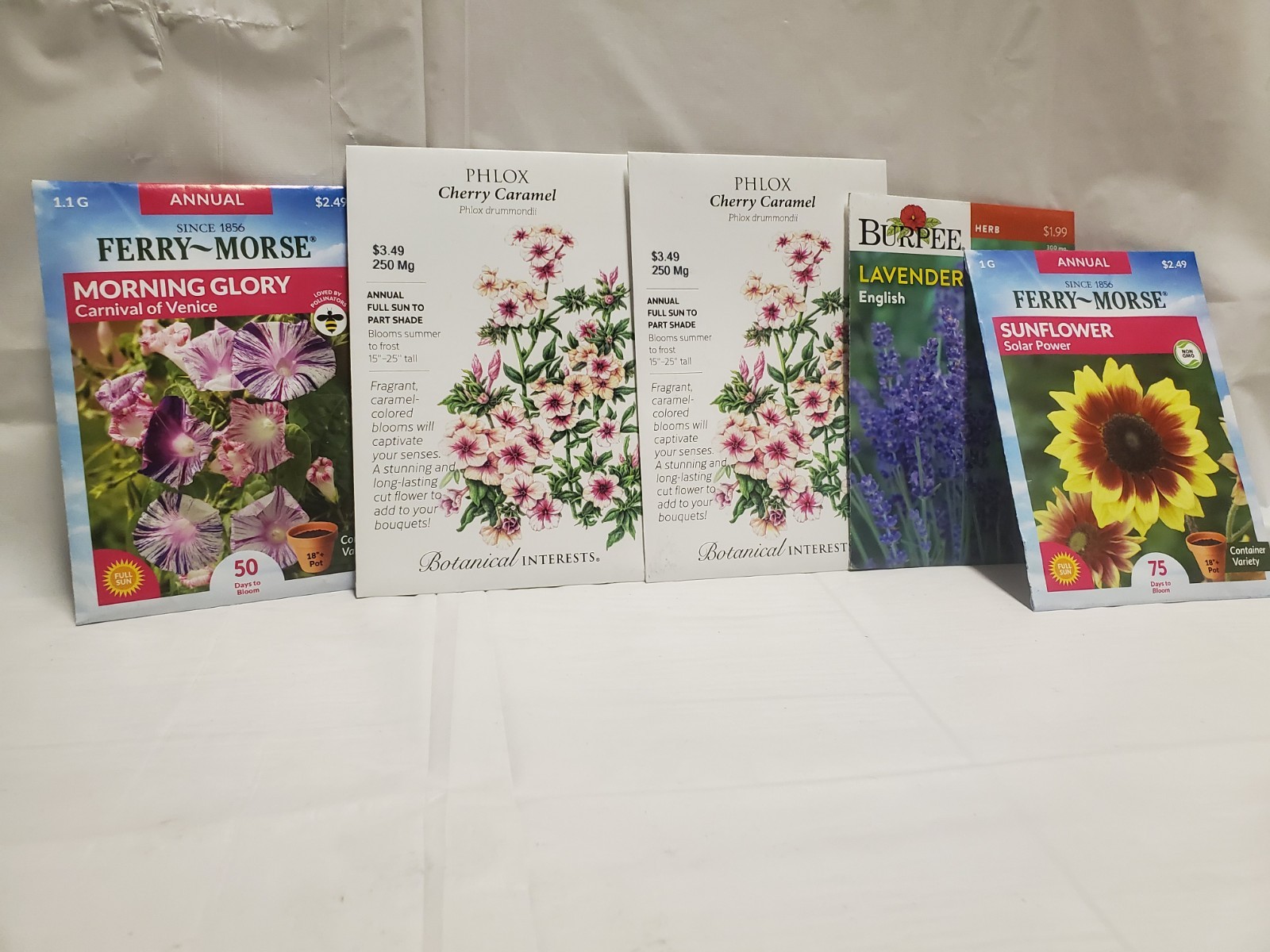 ASSORTED Seeds
