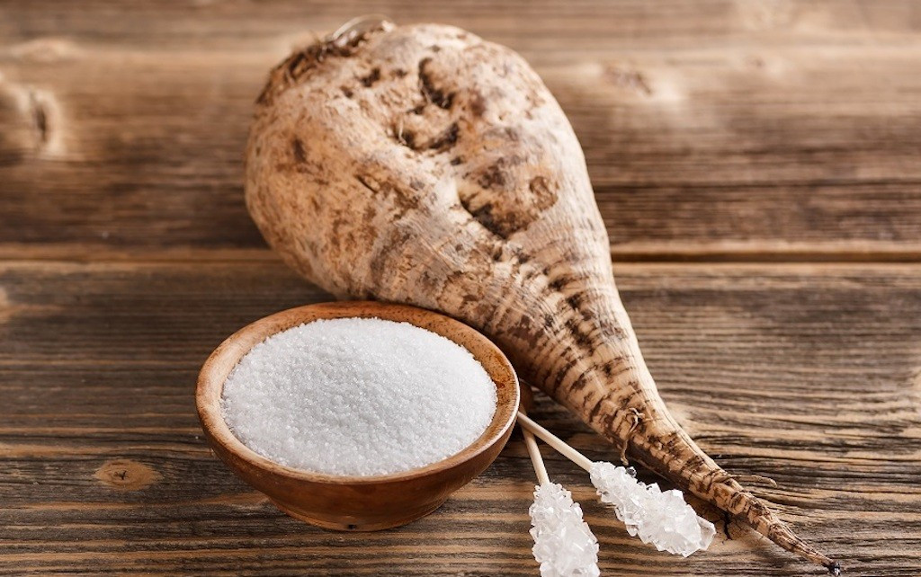 200 Sugar Beet Seeds — Natural Sugar — HUGE