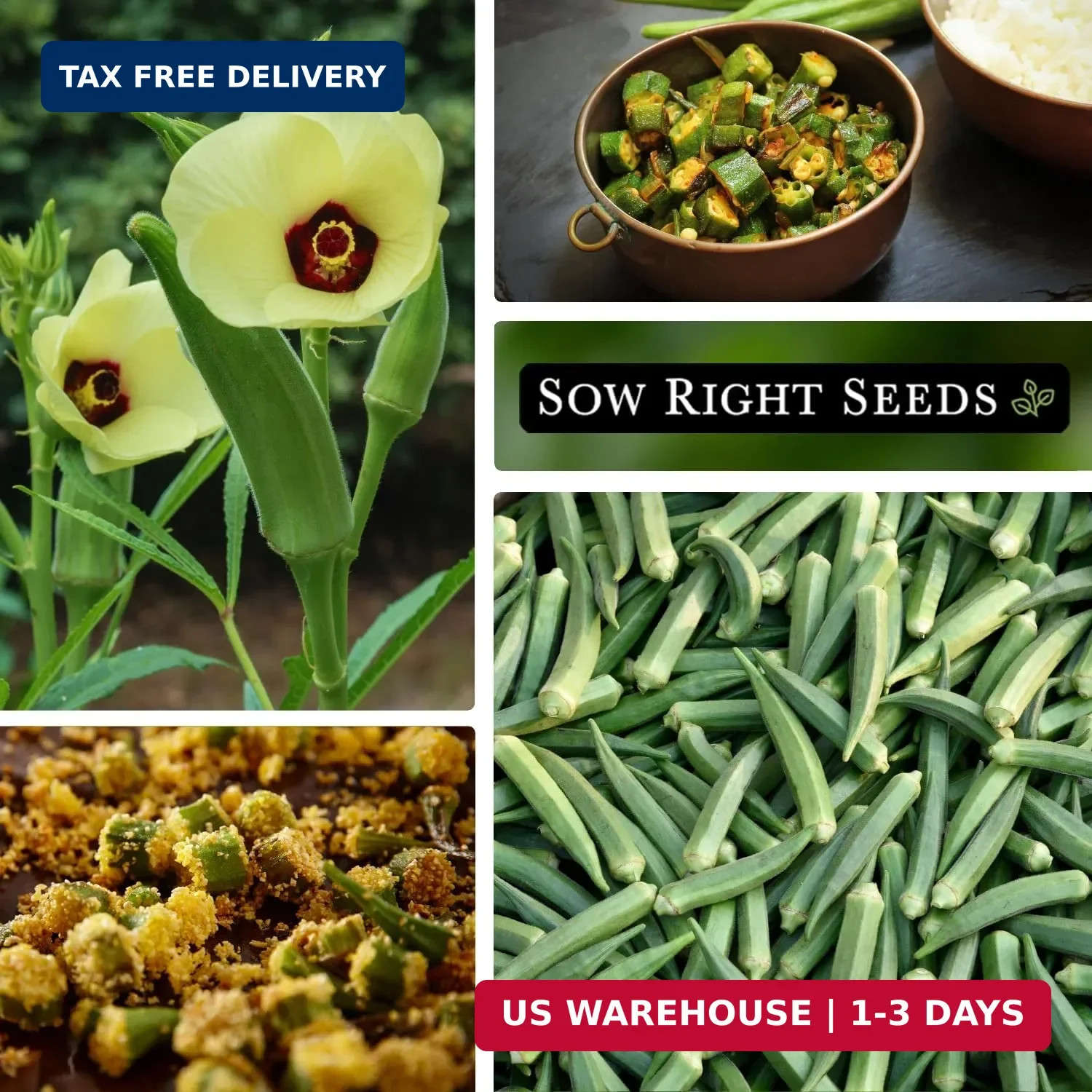 Sow Right Seeds – Emerald Okra Seeds for Planting – Non-GMO Heirloom Packet with