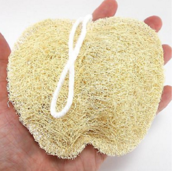 Long Vegetable Luffa Seeds High Yield (loofah sponge gourd, Luffa cylindrica)