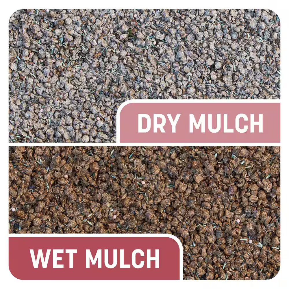 5 Lbs. Smart Patch Zoysia Grass Seed with Mulch, Fertilizer Free Shipping