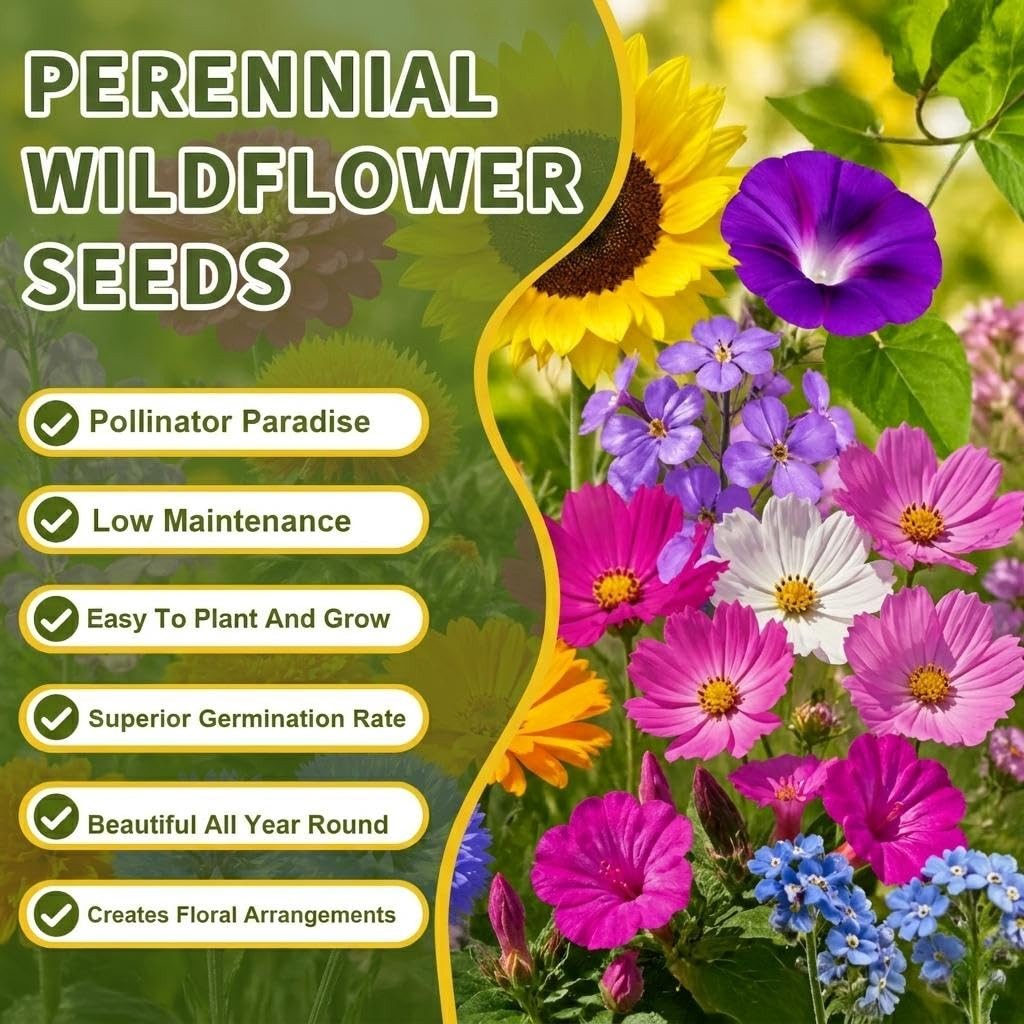 Wildflower Seed Mix – 19 Varieties Including Sunflower, Zinnia, Cosmos, Morni…