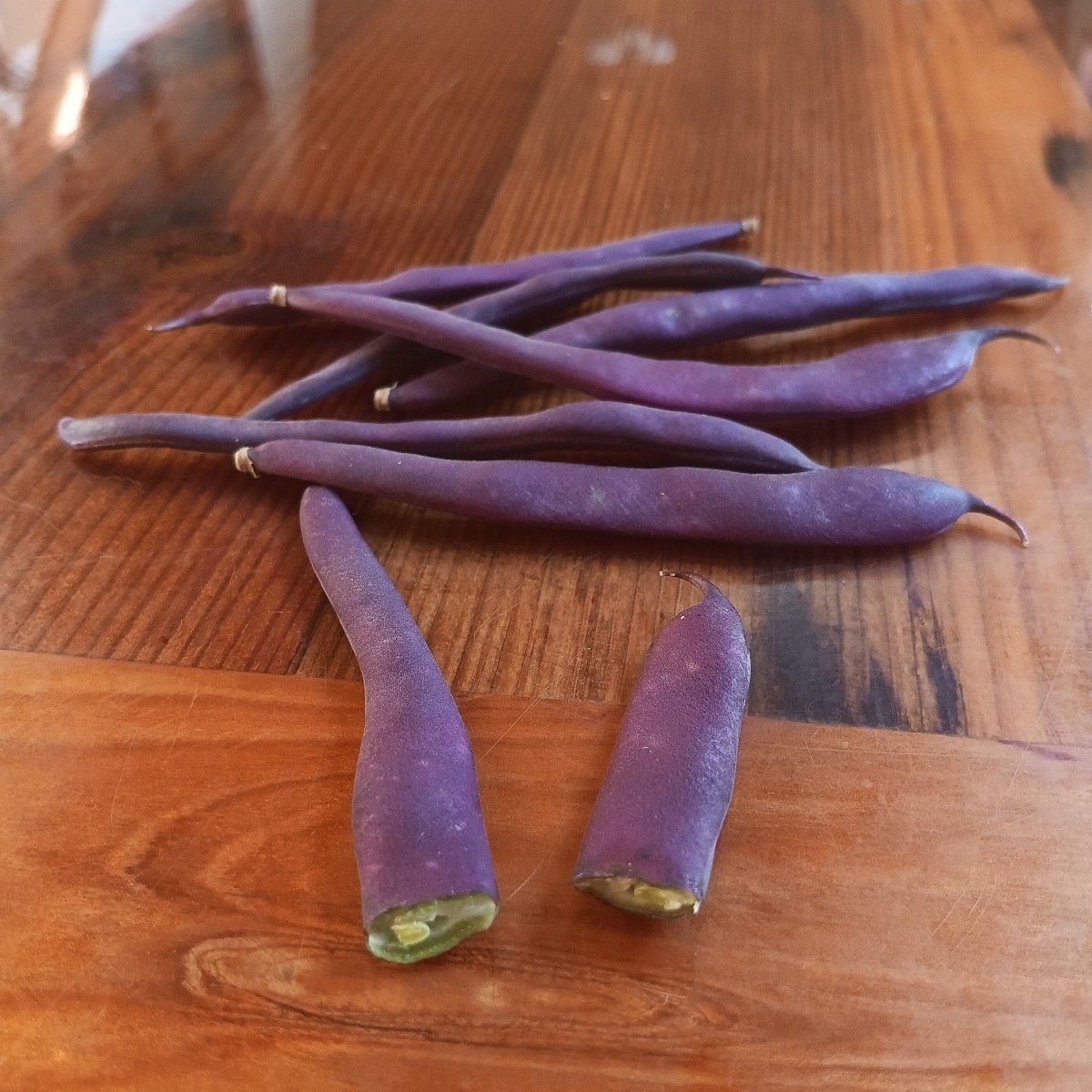 Purple Podded Pole Bean ~ Heirloom ~ Organic ~ 30 or 100 seeds