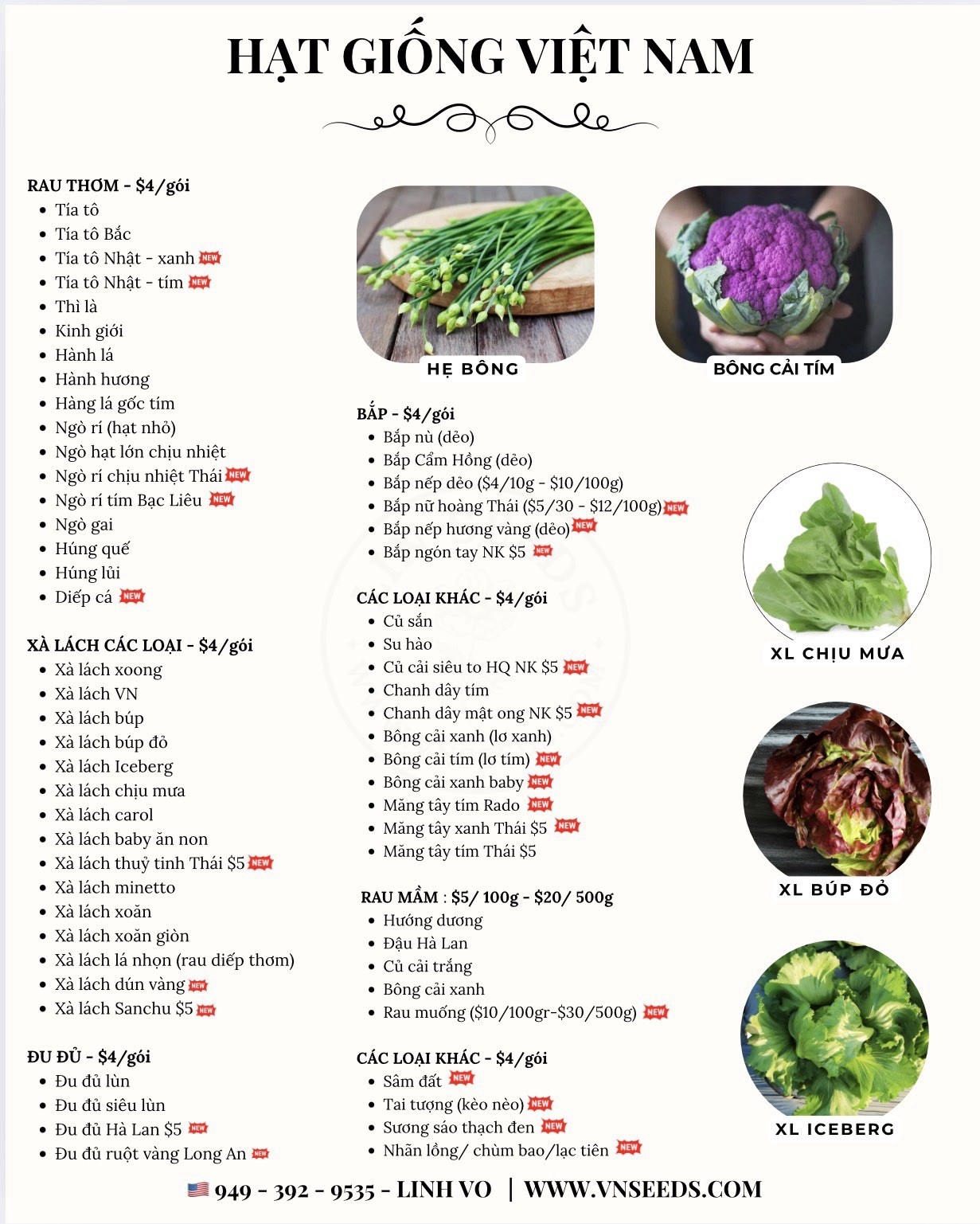 Hat Giong Rau Muong La Tre – Water Spinach Seeds – Kangkong Ongchoy -US Seller