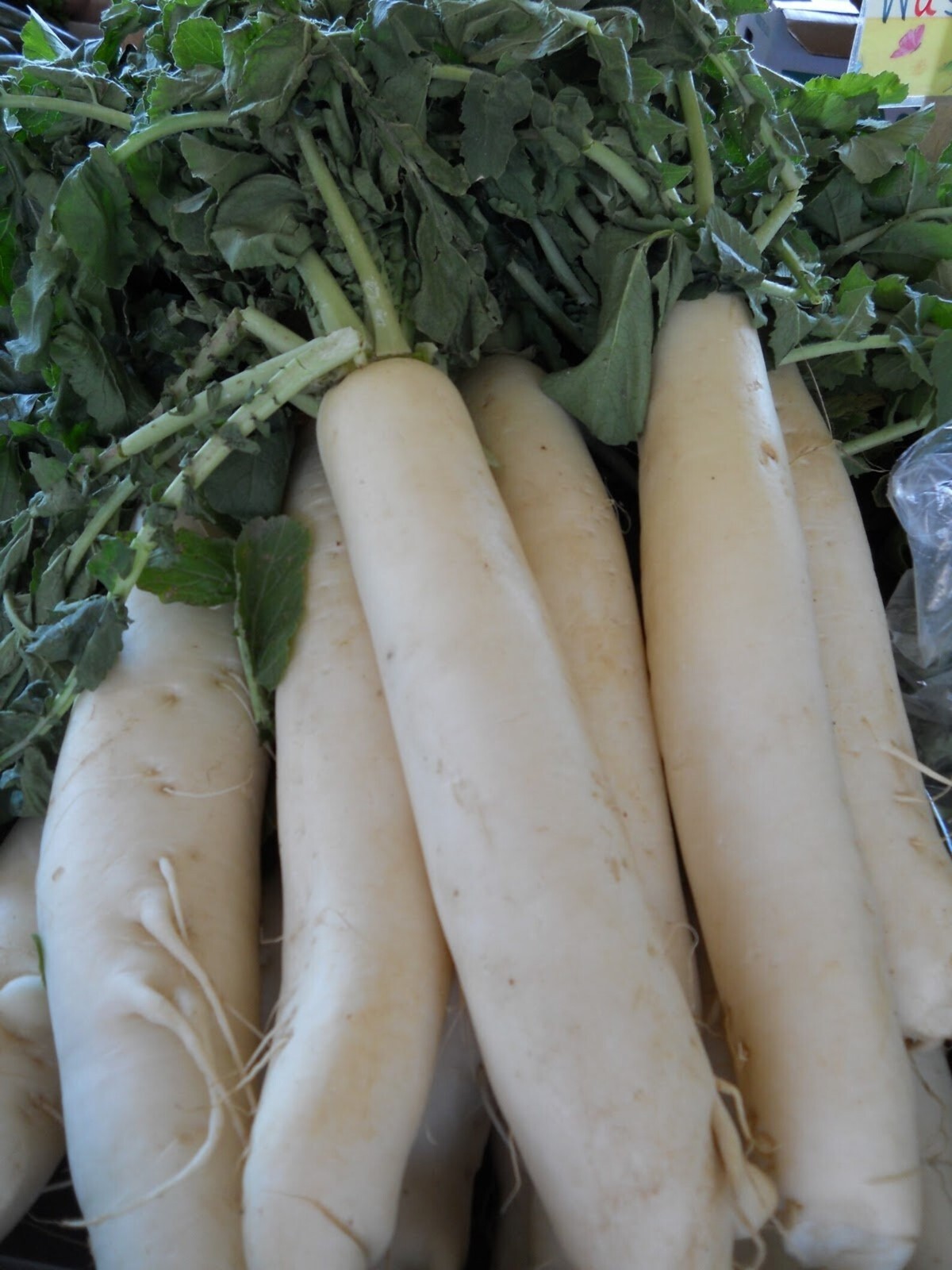 1000+ Daikon Radish Seeds – Japanese Minowase — Heirloom – Organic – NON GMO