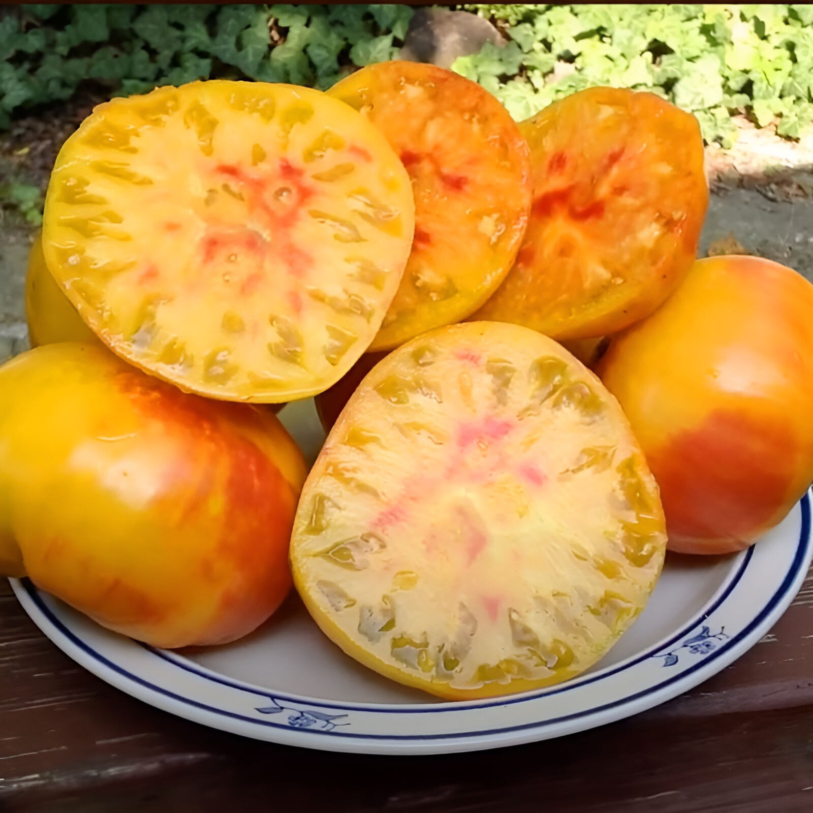 100 Heirloom Pineapple Tomato Seeds Huge 1-2lb Bi-Colored Sweet Indeterminate