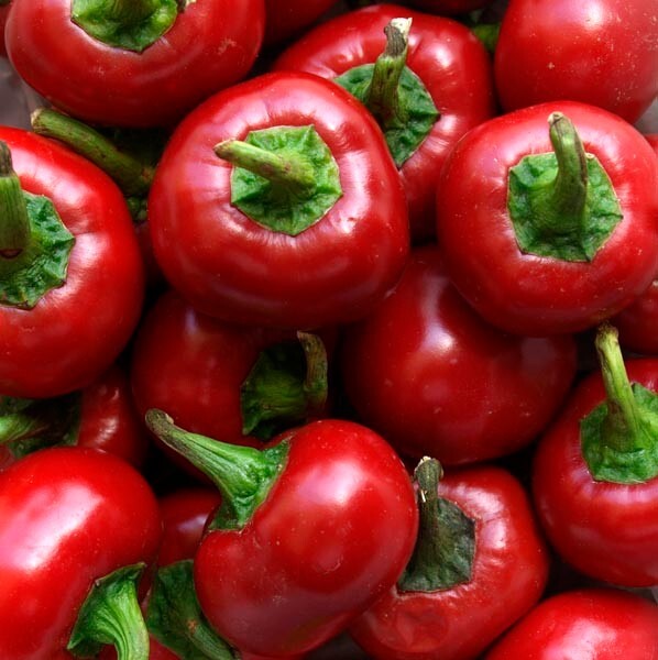 Red Cherry Hot Pepper Seeds – 50+ – Pimenta — NON-GMO — Heirloom