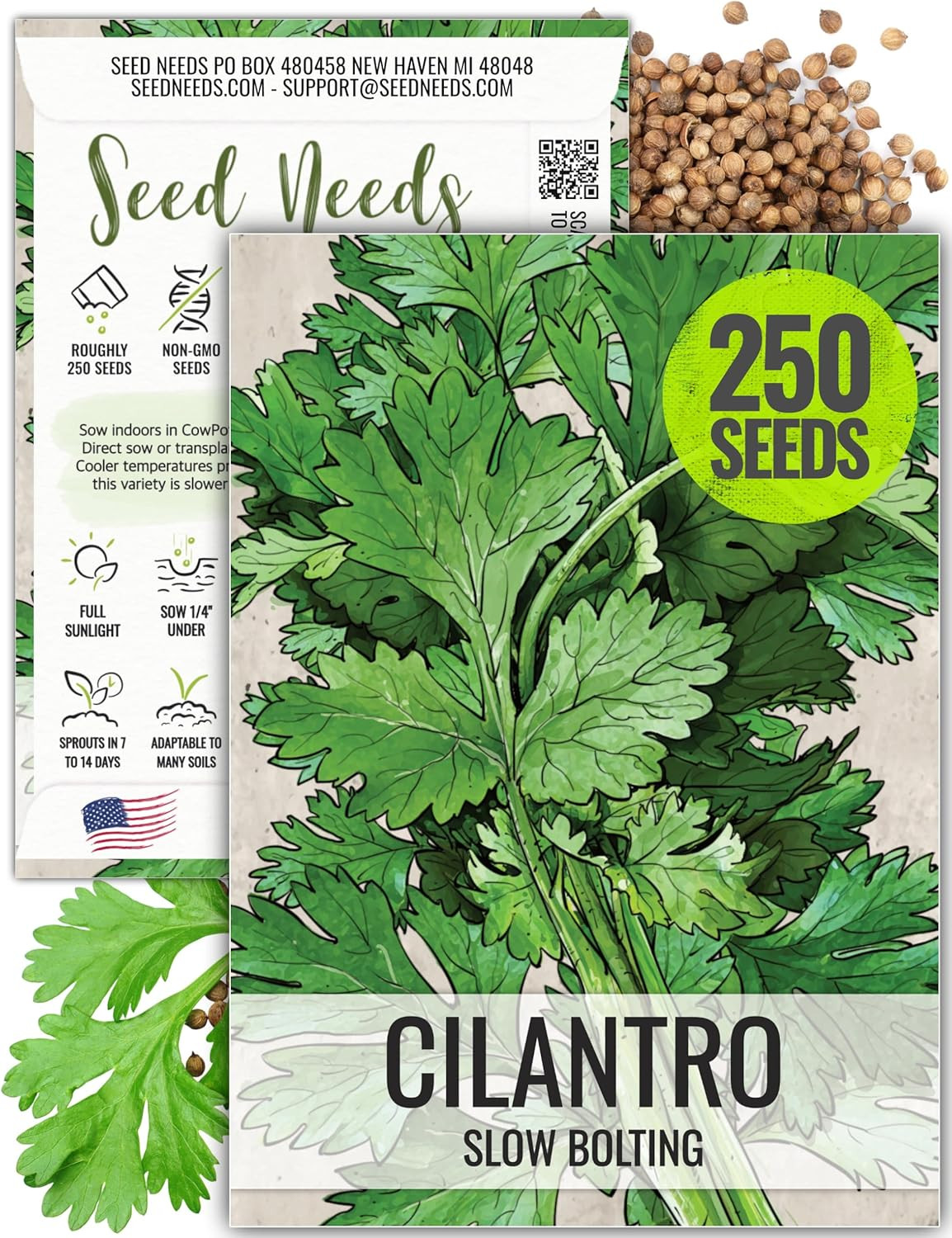 Cilantro Herb Seeds – 250 Heirloom Seeds for Planting Coriandrum Sativum – Non-G