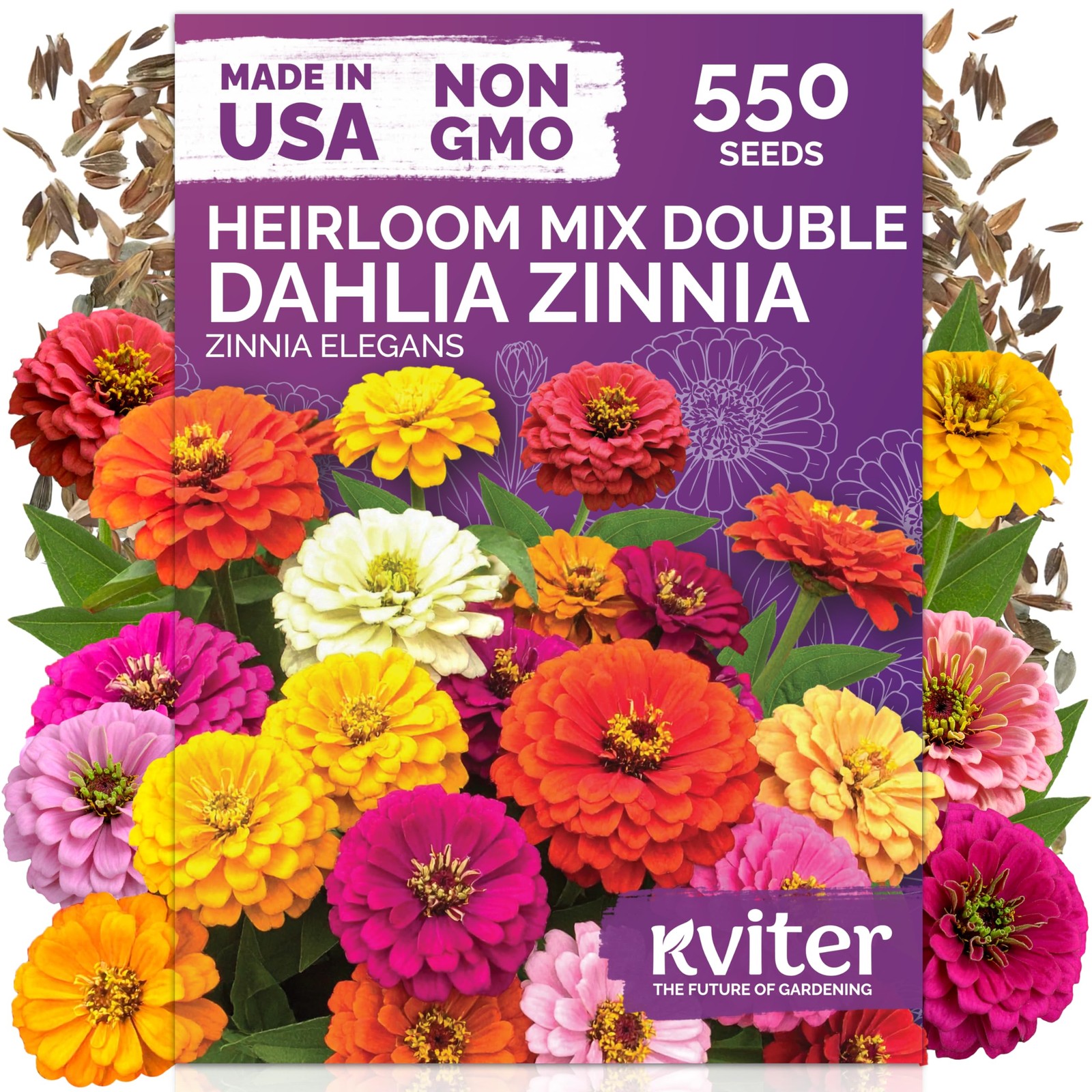 KVITER 550 Dahlia Zinnia Seeds for 2025 Mix (Zinnia Elegans)