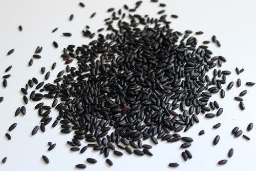 Black, Red rice seeds Forbidden nutty flavor easy to grow organic plants viable!