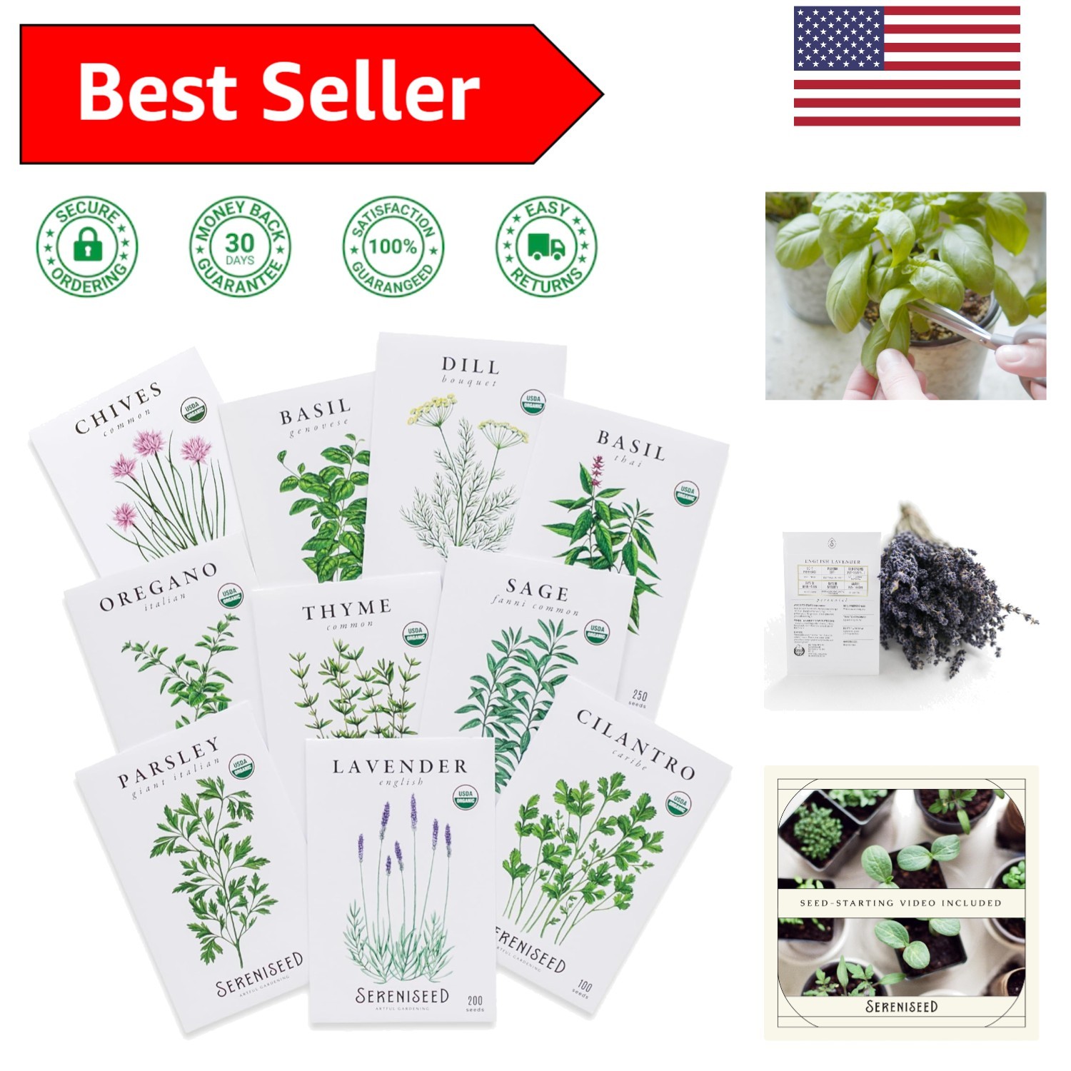 Germination Guaranteed! Heirloom Herb Seeds 10-Pack – Perfect for Home Gardening