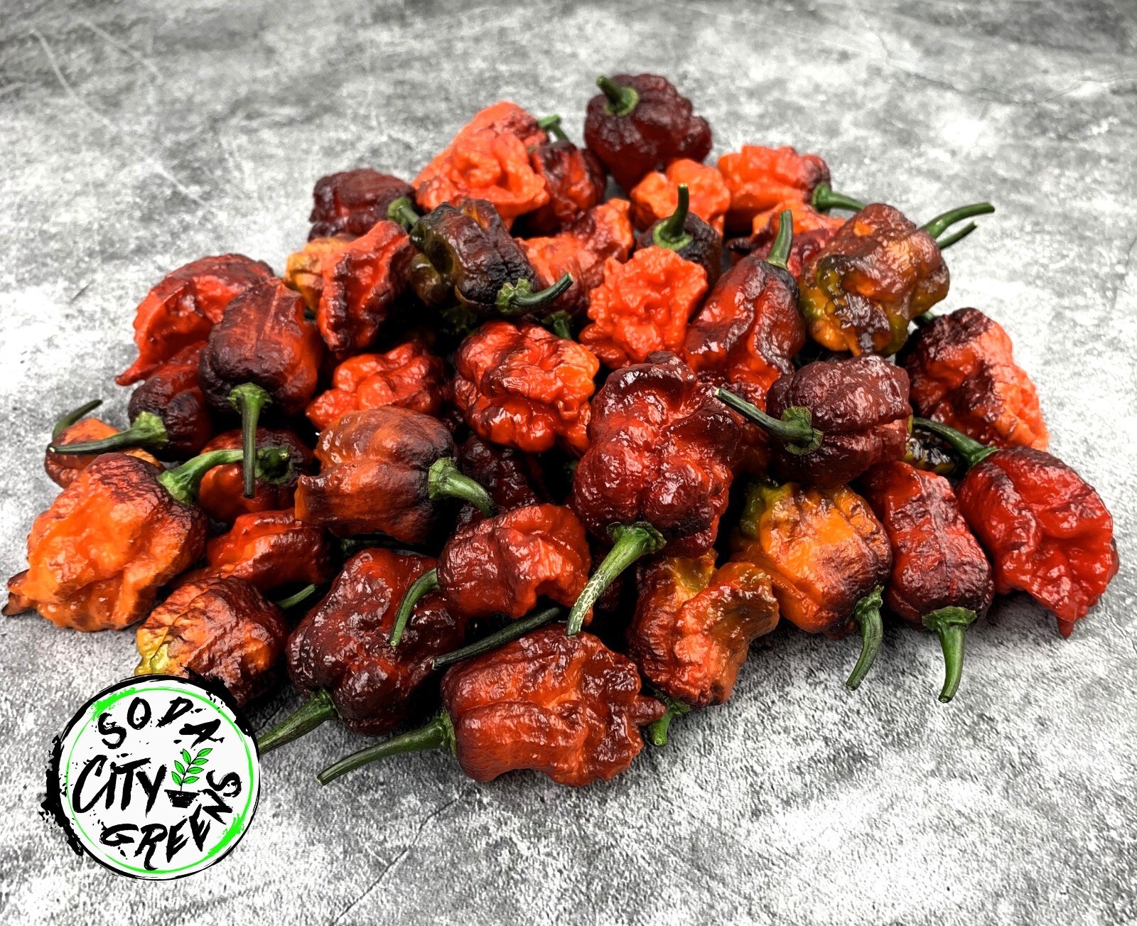 Orion Pepper Seeds 10+
