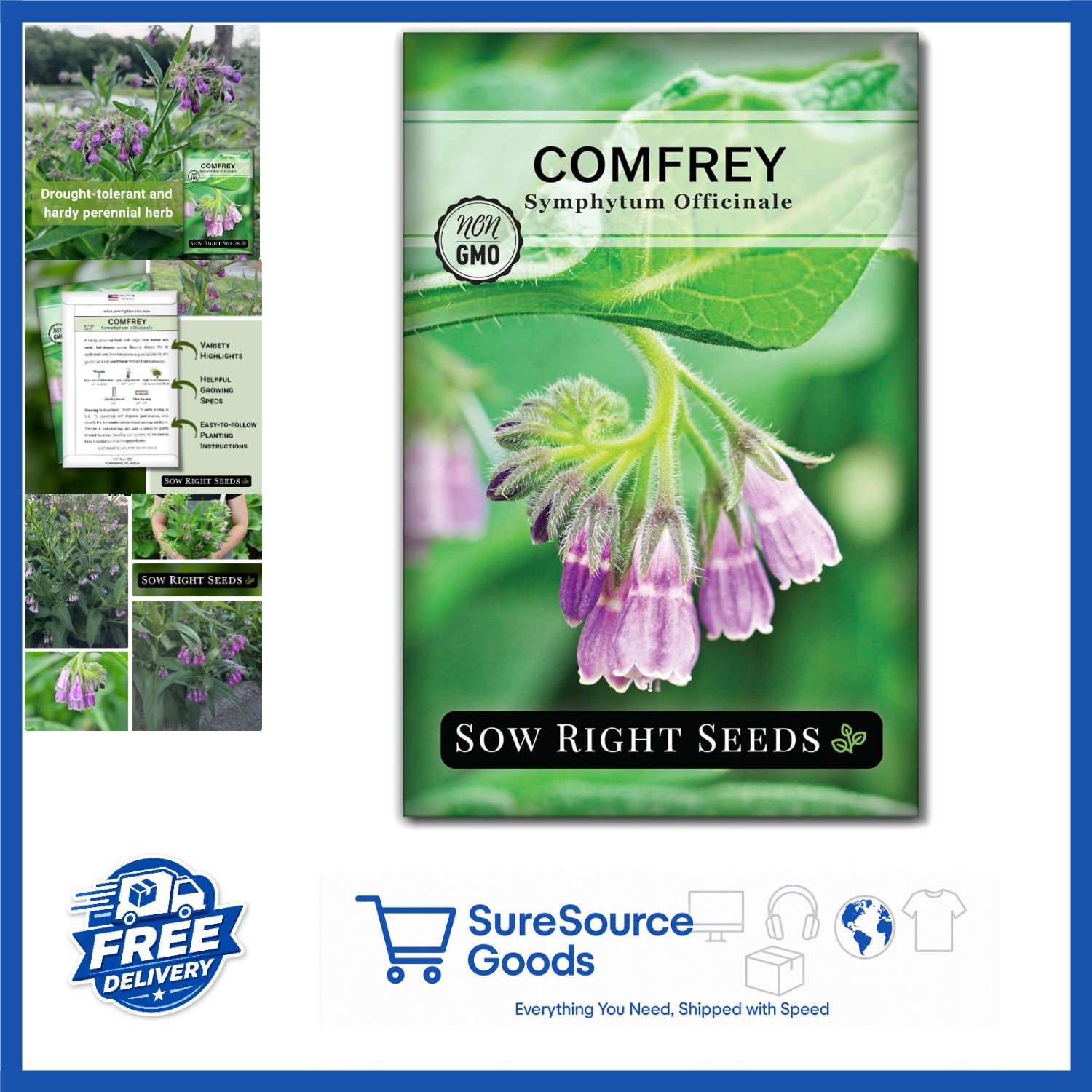 Comfrey Seeds for Indoor Outdoor Herb Garden Non-GMO Heirloom Purple Flowers