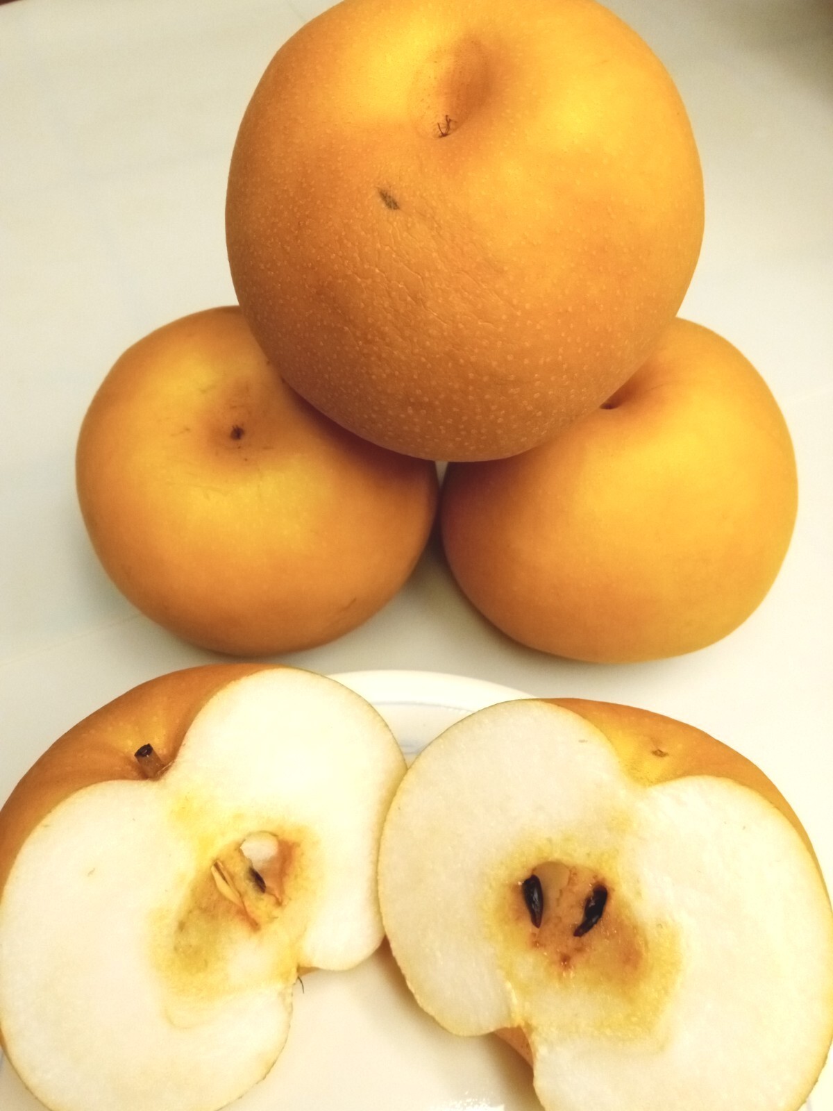 Large Korean Butterscotch Pear Pyrus Pyrifolia 韩国大梨种子 10 Seeds – Fruit Tree USA