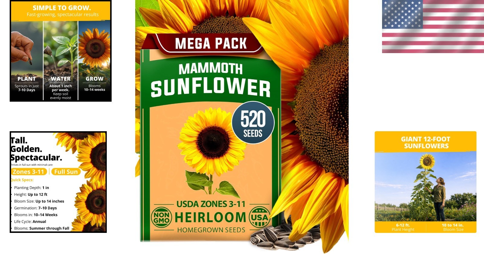 Bulk Packet of 520 Giant Mammoth Sunflower Seeds – Vibrant Growth for Any Garden