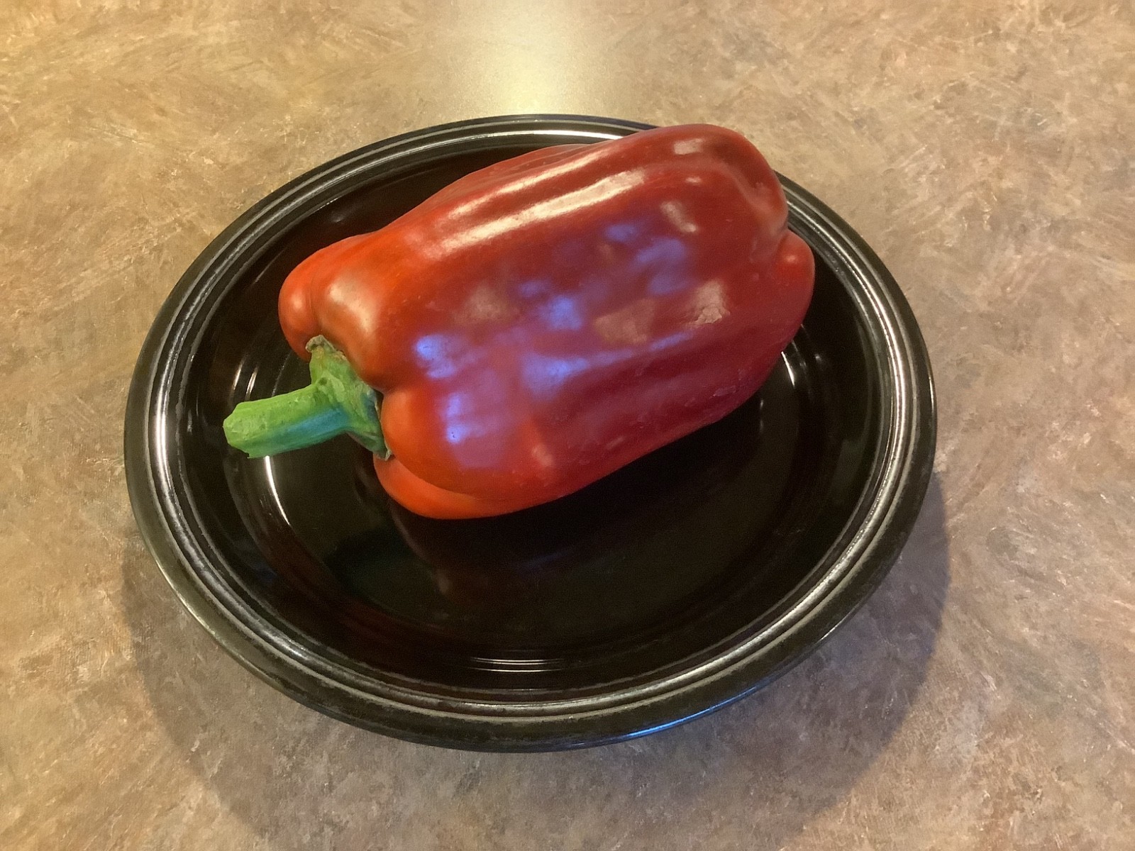 60 Quadrato D Asti Rosso Bell Pepper seeds, organically grown heirloom