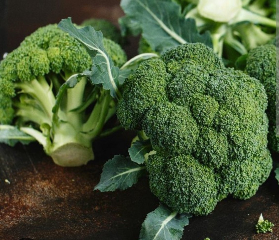 Broccoli Seeds Waltham 29 Heirloom 500+ SEEDS NON gmo