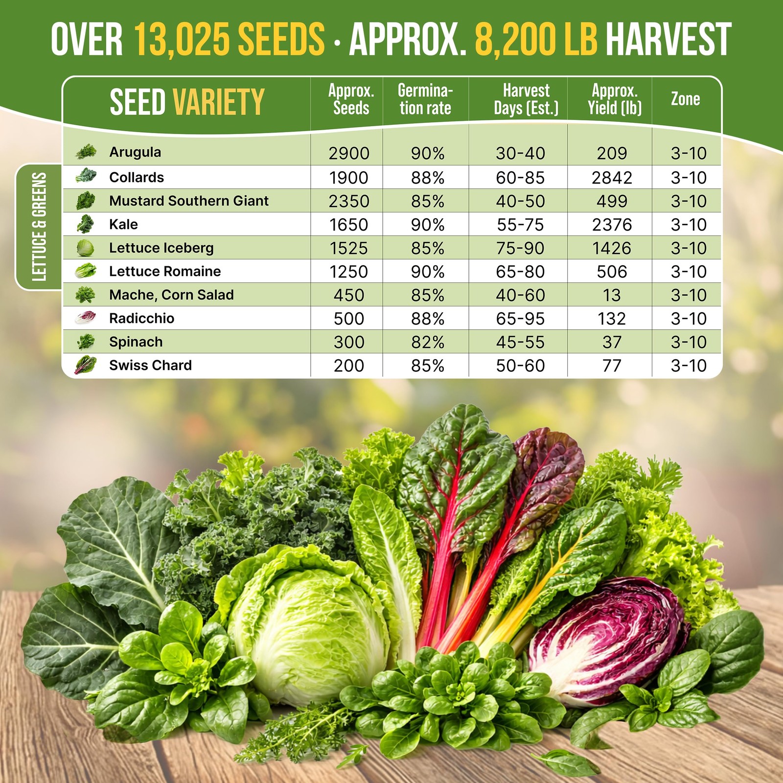 Organo Republic 10 Lettuce & Salad Greens Seeds Variety Pack 13000+ NonGMO He…