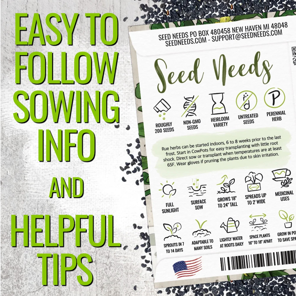 Rue Herb Seeds For Planting (Ruta graveolens)