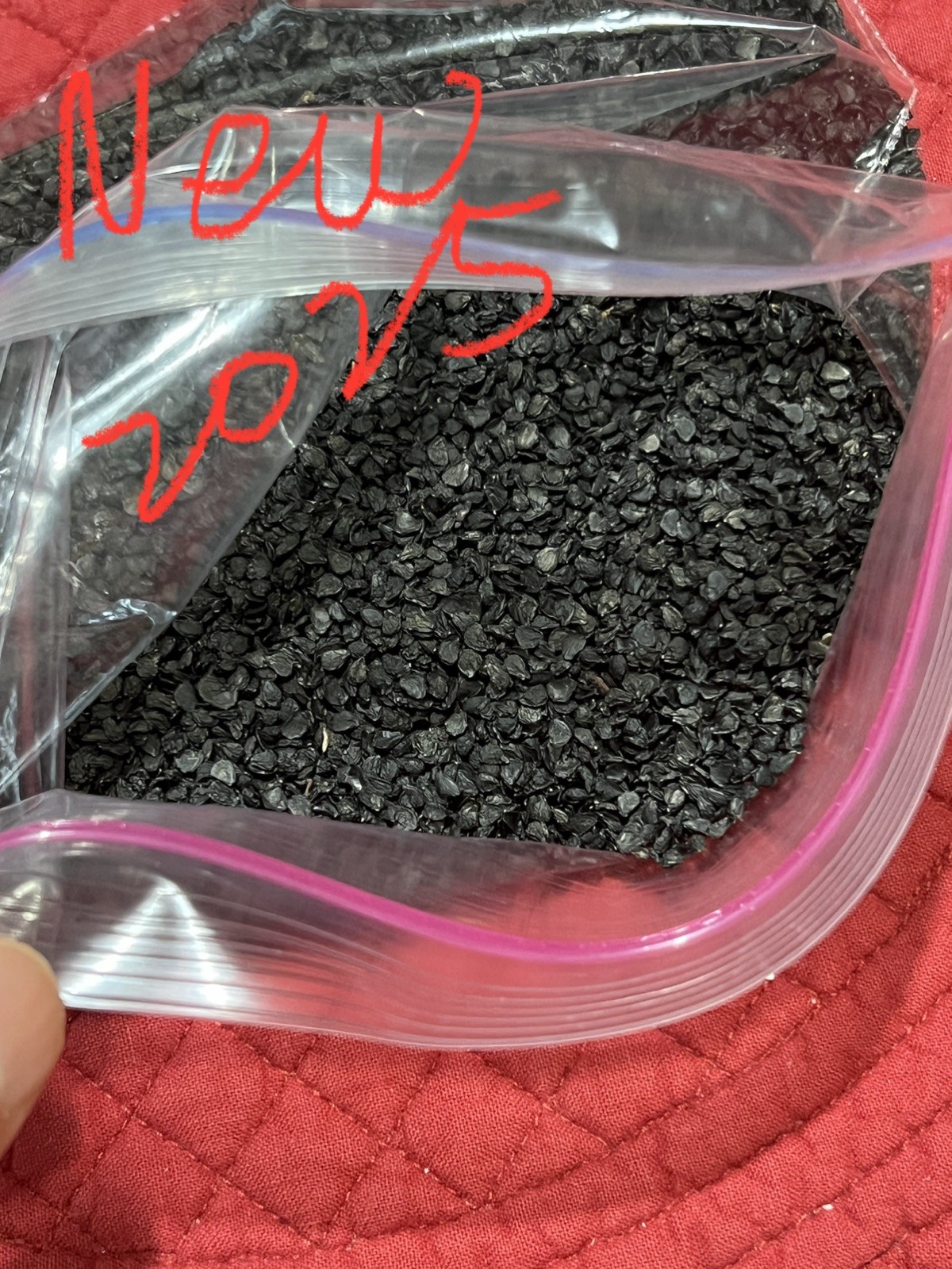 500 Garlic Chives Seeds the Strongest Fragrant Purple Roots 紫根韭菜种子(No Tracking)