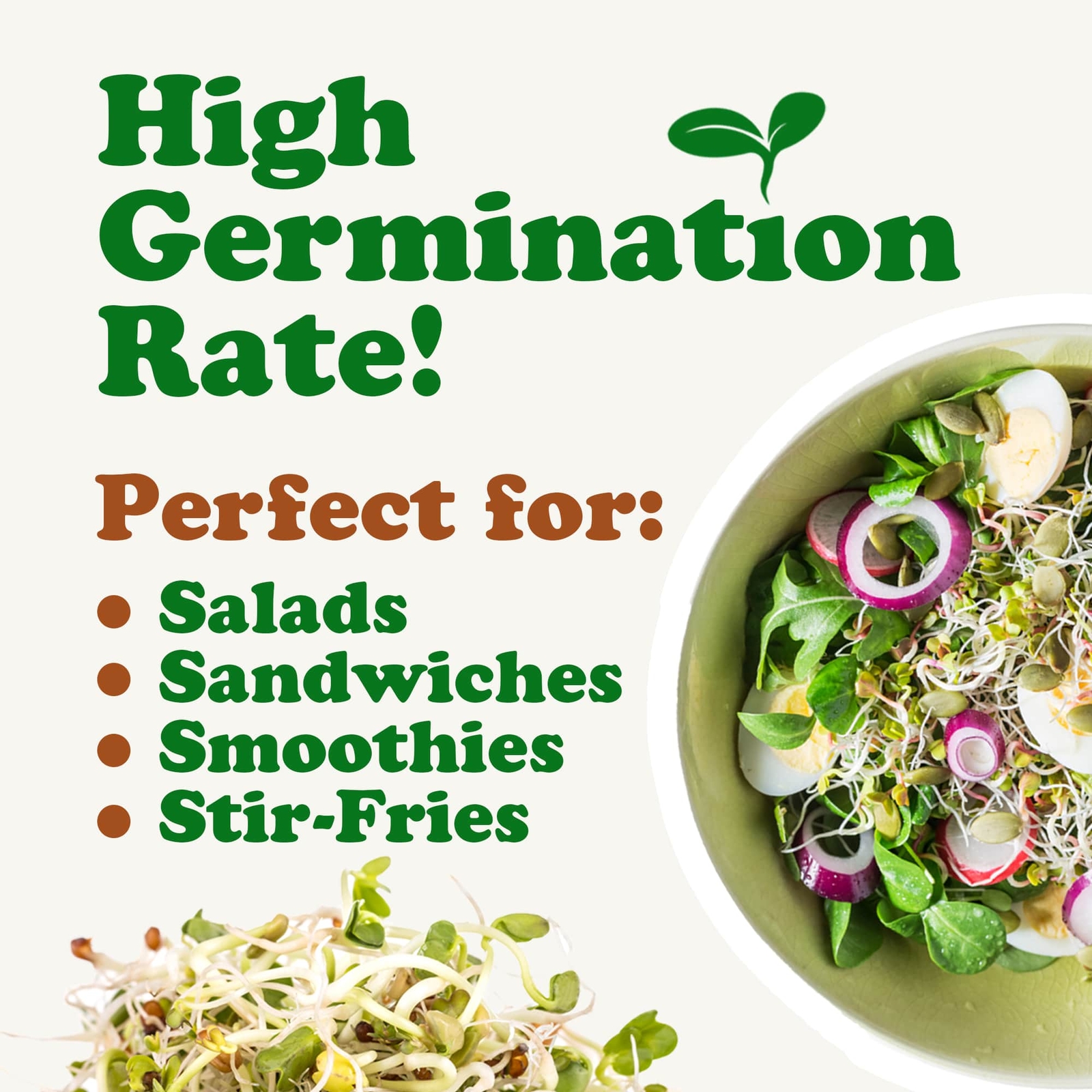 Salad Mix of Sprouting Seeds – Sproutable, Kosher, Raw, Vegan – by Food To Live